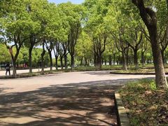 -安飞驰驾校·学车连锁(金高店)