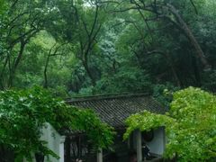 -宋宴(虎跑店)