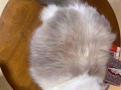 -藏猫猫咖啡主题馆(中央大道店)