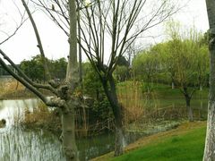 -尚贤河湿地
