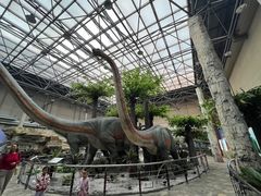 -国家自然博物馆