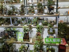 -骑鹅公社(南开大悦城店)