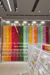 -THE COLORIST调色师