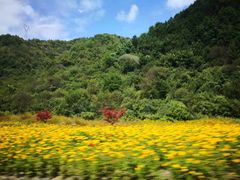 -青峰峡国家森林公园