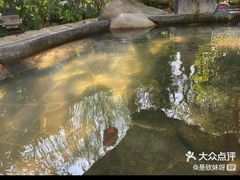 -西安国际创新人才交流中心•药浴温泉