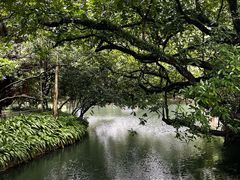 -广州兰圃
