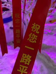 -圣名游乐城冰雪大世界
