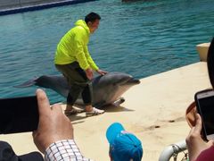 -秦皇岛乐岛海洋王国