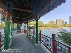 -西海子公园