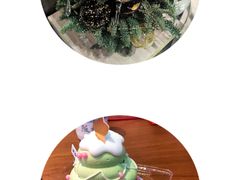 -蒲公英(五里店)