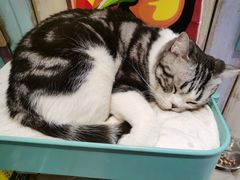 -小时光咖啡馆(开森度假森林店)