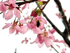 -李奥斯汀蛋糕商务茶歇·甜品台·企业活动团建(长寿路店)