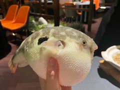 -肆月河豚·淮扬菜·湘菜(华天店)