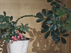 -Fun Job Art 零基础油画国画DIY画室(望京店)