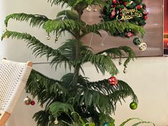 -逗号咖啡(信义荔山公馆店)