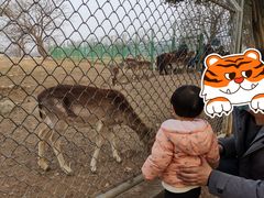 -西安秦岭野生动物园