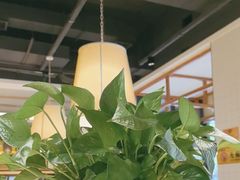 -胡家大厨(西三庄店)