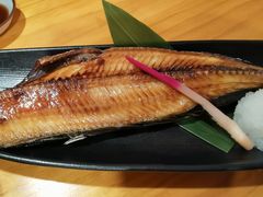 开背鱼-鮨清日本料理