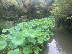 -成都杜甫草堂博物馆