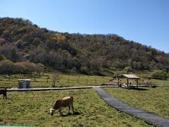 -大水川景区