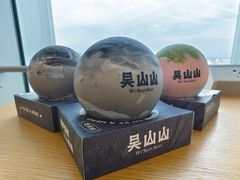 -吴山山·椰子酸奶(天河南店)