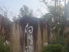 -白鹭湾湿地公园