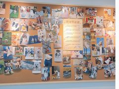 -翊宠yipet猫狗购宠庄园犬舍•猫舍