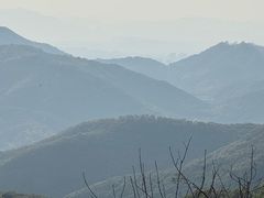-黄贤森林公园