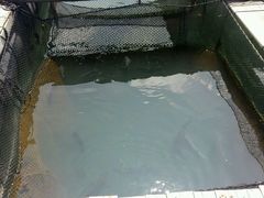 -海上驿站渔家菜馆