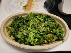 -油梨树 AVOCADO TREE(亮马桥店)