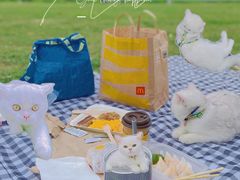 -风云岭森林公园