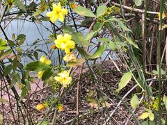 -上海市龙华烈士陵园