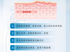 -上海明天广场JW万豪酒店