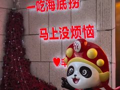 -海底捞火锅(丰尚国际广场店)