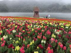 -广州市石门国家森林公园