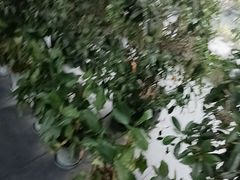 -皇城清真寺