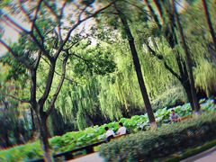-四川大学(望江校区)