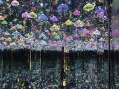 -上海梵高星空艺术馆(南京路旗舰店)