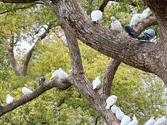 -西湖外事游船(湖滨二公园外事游船码头)