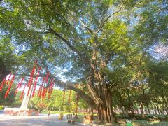 -广州中山纪念堂