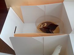 -潮一不贰·法式甜品·生日蛋糕·西式简餐(外滩店)