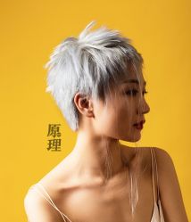 -Y-STUDIO原理