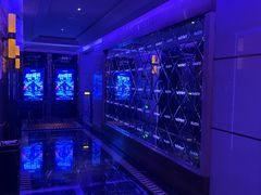 -温莎KTV(珠江路店)