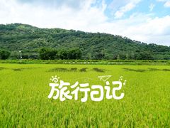 -艾米稻香小镇