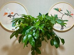 -瑞慈体检上海陆家嘴机构