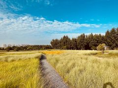 -汉长安城未央宫国家考古遗址公园