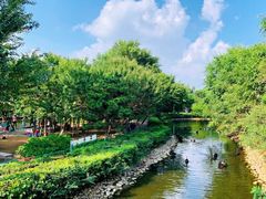 -长白岛森林公园