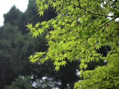-陕西师范大学(雁塔校区)