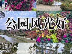 -东莞植物园