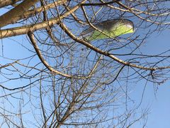 -白鹭湾湿地公园